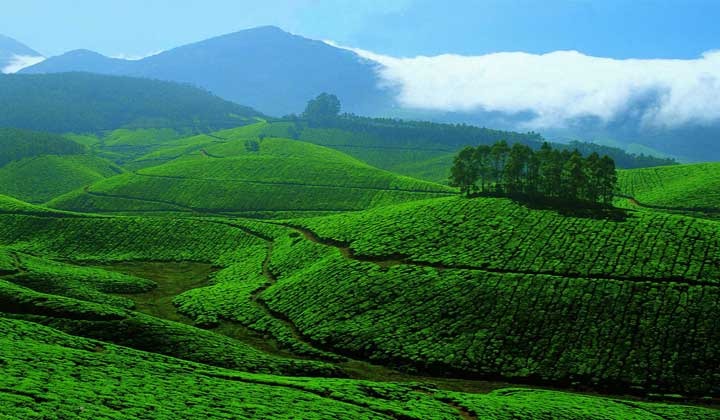 munnar ooty tour package